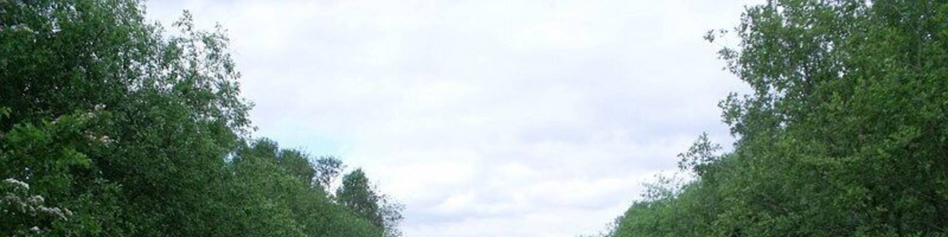 This now decrepit track is heavily polluted with oil and other nasty stuff which is running off into a pond in the woods to the left. It used to be - as the title name implies the road to a railway station called Garnkirk. The line which is still in everyday use was one of Scotland's earliest railways called the Glasgow and Garnkirk Railway which opened to in 1831 as the first competitor to the monopoly until then enjoyed by the Monkland Canal in carrying coals and pig iron from the Monklands to Glasgow.