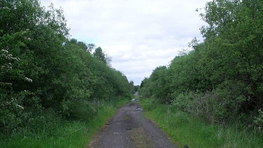 This now decrepit track is heavily polluted with oil and other nasty stuff which is running off into a pond in the woods to the left. It used to be - as the title name implies the road to a railway station called Garnkirk. The line which is still in everyday use was one of Scotland's earliest railways called the Glasgow and Garnkirk Railway which opened to in 1831 as the first competitor to the monopoly until then enjoyed by the Monkland Canal in carrying coals and pig iron from the Monklands to Glasgow.