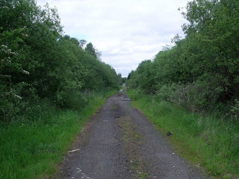 A rural road flanked by dense greenery and trees.