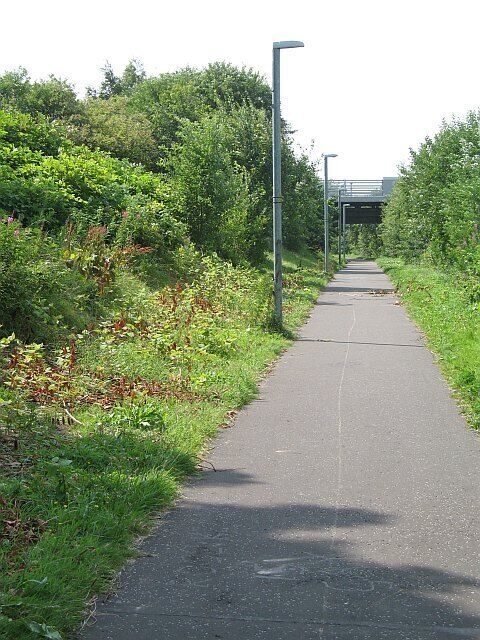 Un camino pavimentado bordeado de abundante vegetación, con farolas y un puente a lo lejos.