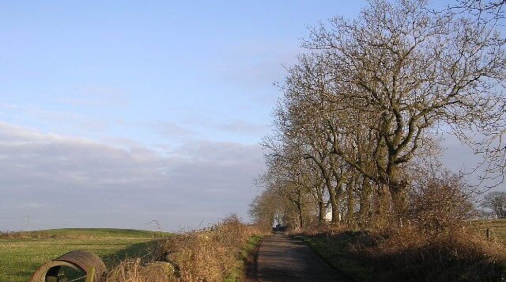 Quiet road, Back o' Hill. Looking towards Back o' Hill farm