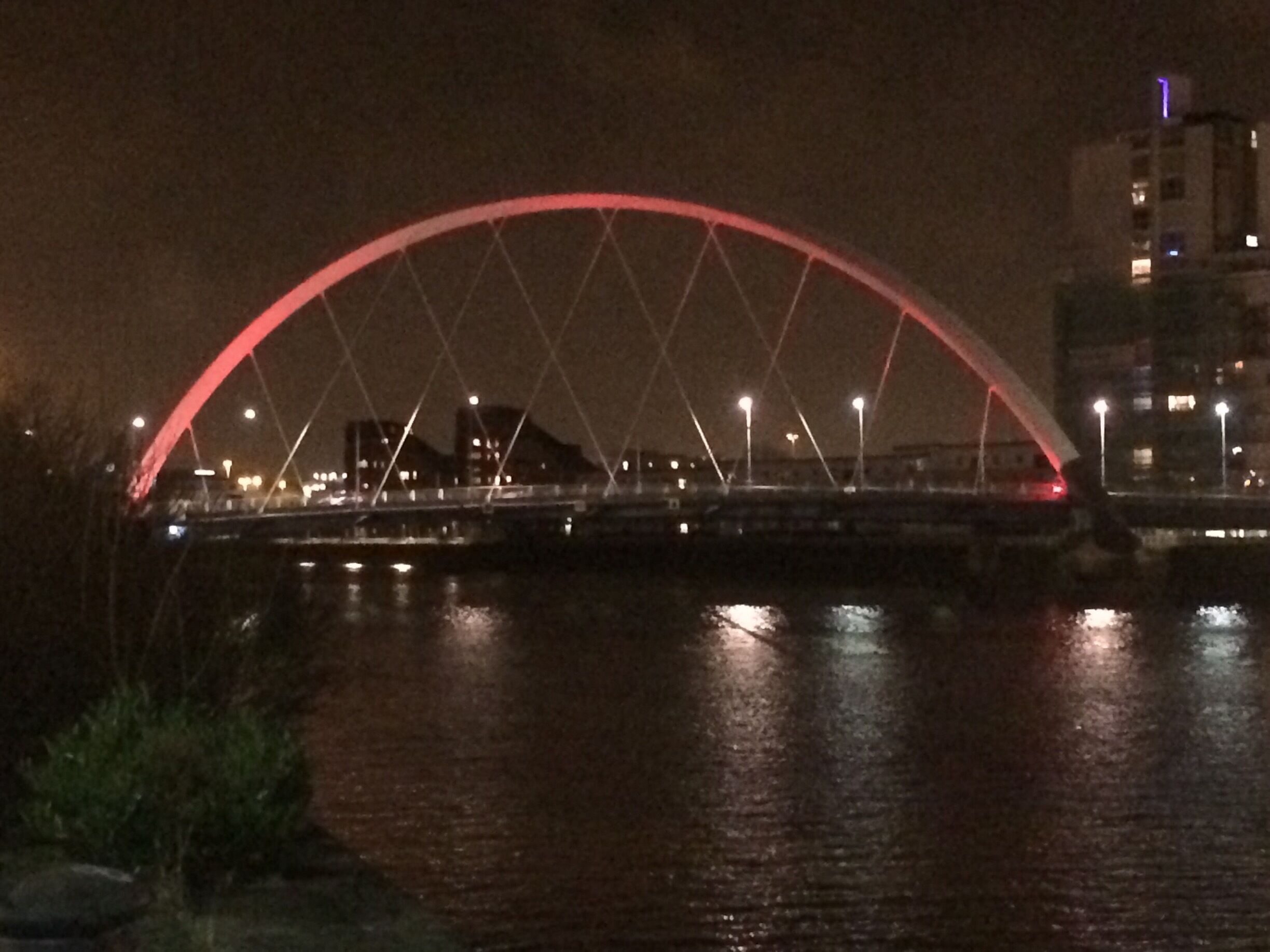 I was like the cat that got the cream when I checked in my room at the Hilton and looked out onto this view - the Clyde arc