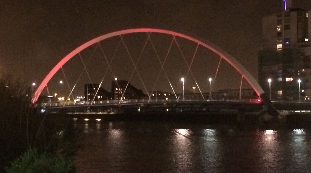 I was like the cat that got the cream when I checked in my room at the Hilton and looked out onto this view - the Clyde arc