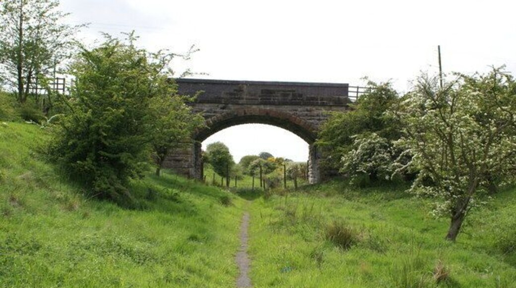 Bridge at Balquharrage This is the trackbed of the Kelvin Valley Railway, which ran from Maryhill (outside Glasgow) to the original Kilsyth station - which was replaced by the town's swimming pool. Kirkintilloch Road crosses above the former track, and the walkway here (which commences a little east of Birdston at the junction with the Campsie Branch of the Edinburgh to Glasgow Railway) ends abruptly here, with a fence preventing any further progress along the line to Torrance. A gate has been helpfully provided to at least allow you access to the road. The line opened in 1879, and this section of track closed in 1962 and the lines lifted.