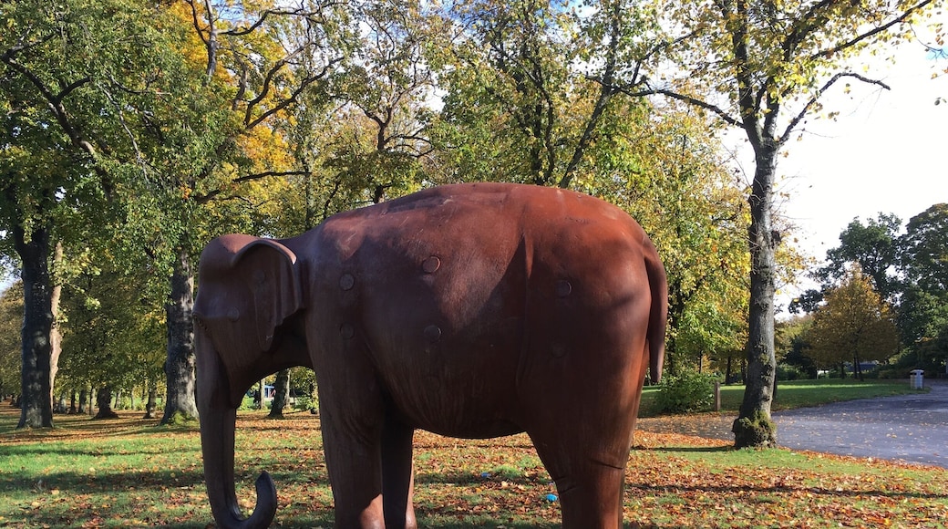 Elephant in the Park. I love this sculpture 😊