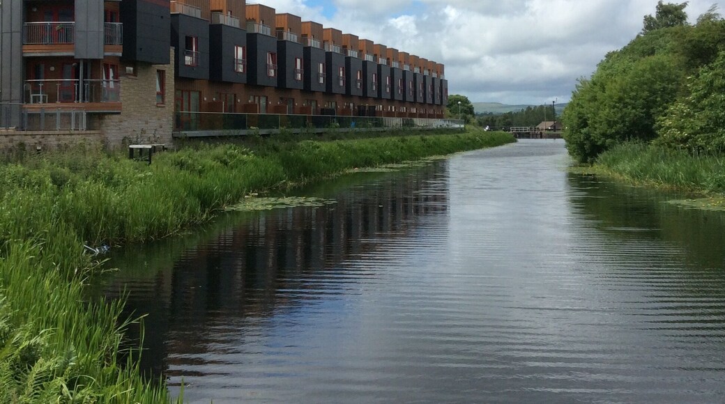 Along the Forth & Clyde canal towpath near Maryhill Road.