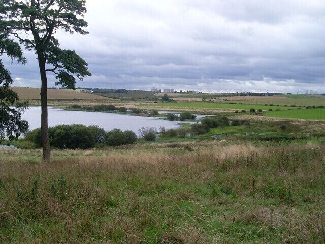 Un lago rodeado de campos y un árbol.
