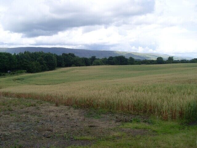 Field near Torrance Roundabout And the Campsie Fells.