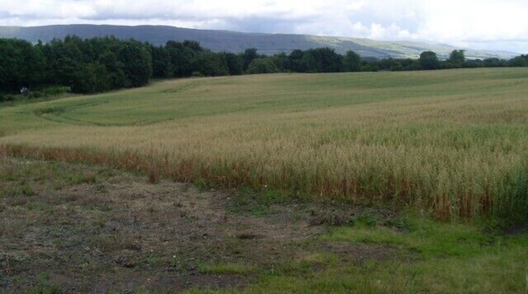 Field near Torrance Roundabout And the Campsie Fells.