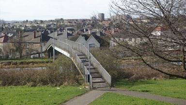 A pedestrian bridge over a river, surrounded by green grass and a pathway.