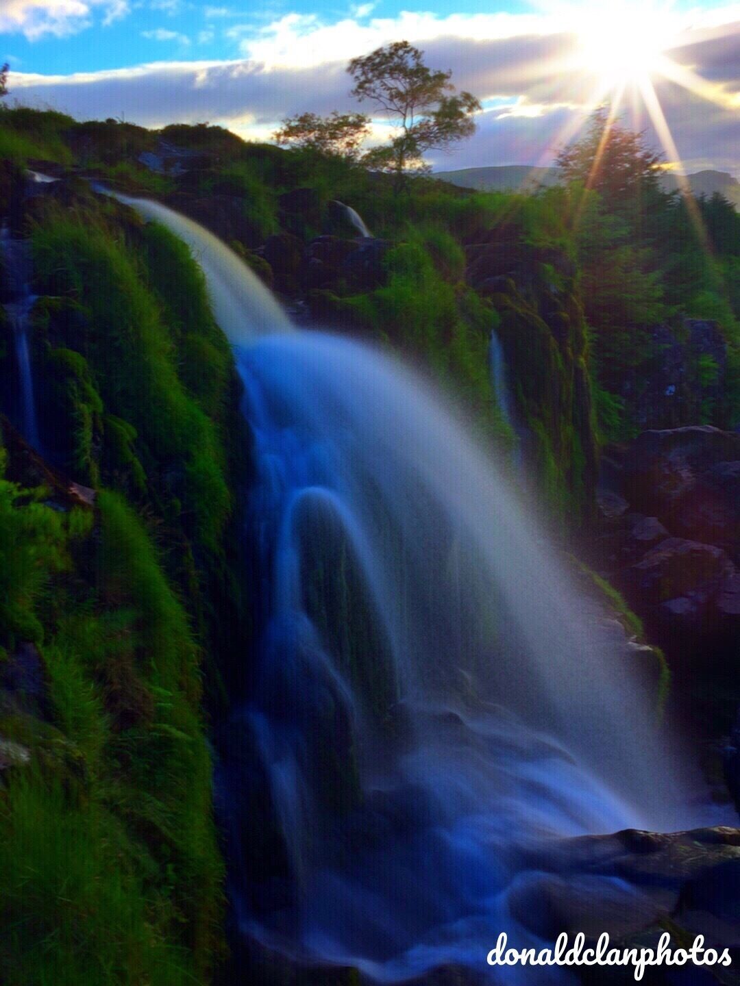 A waterfall surrounded by lush greenery.