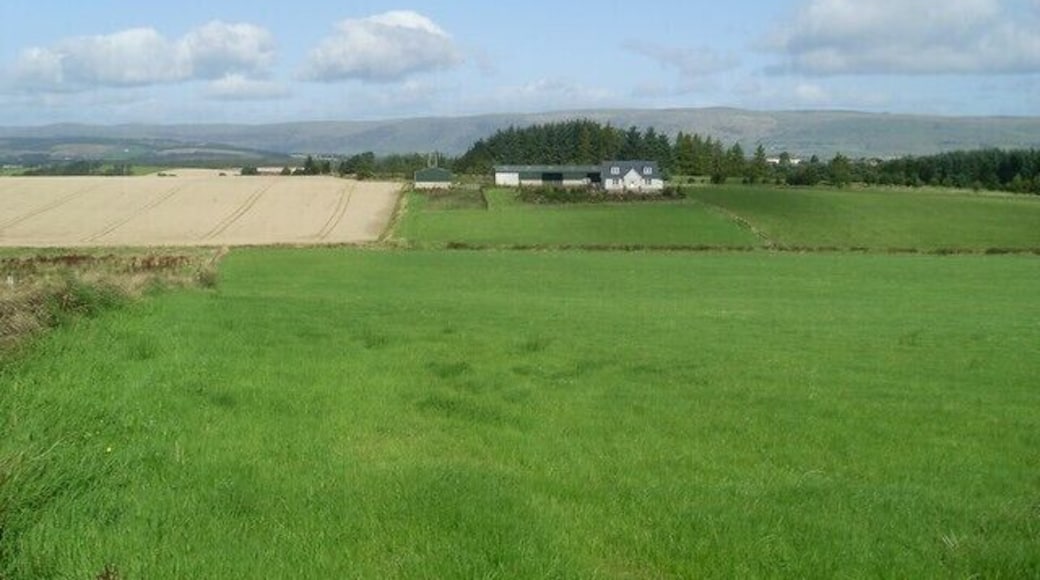 Langmuirhead Farm From across the glen of the Cult Burn.