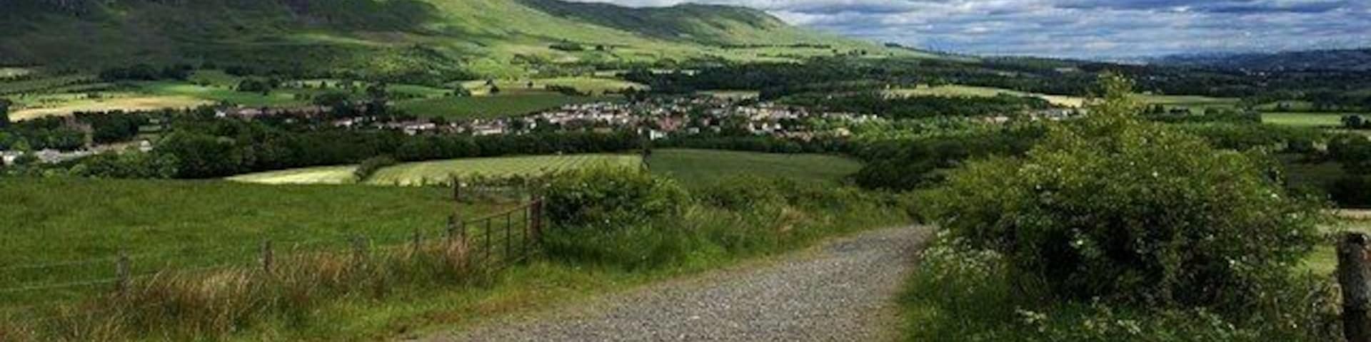 South Brae, Lennoxtown Taken from South Brae at the end of a track looking over the east end of Lennoxtown.