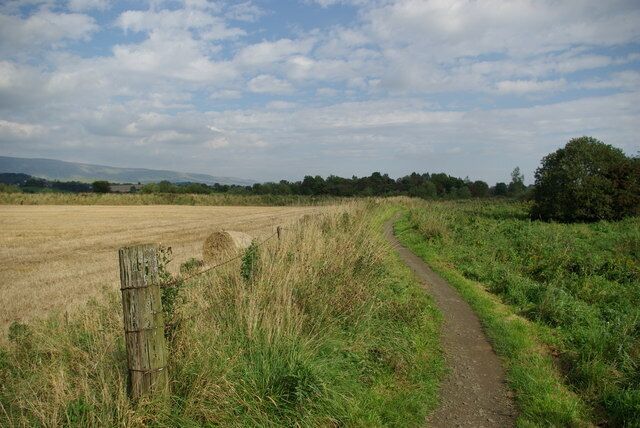 A rural landscape with a dirt path, a field, and a fence.