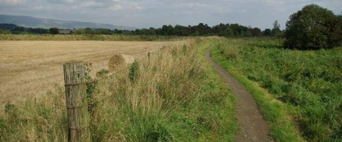 A rural landscape with a dirt path, a field, and a fence.