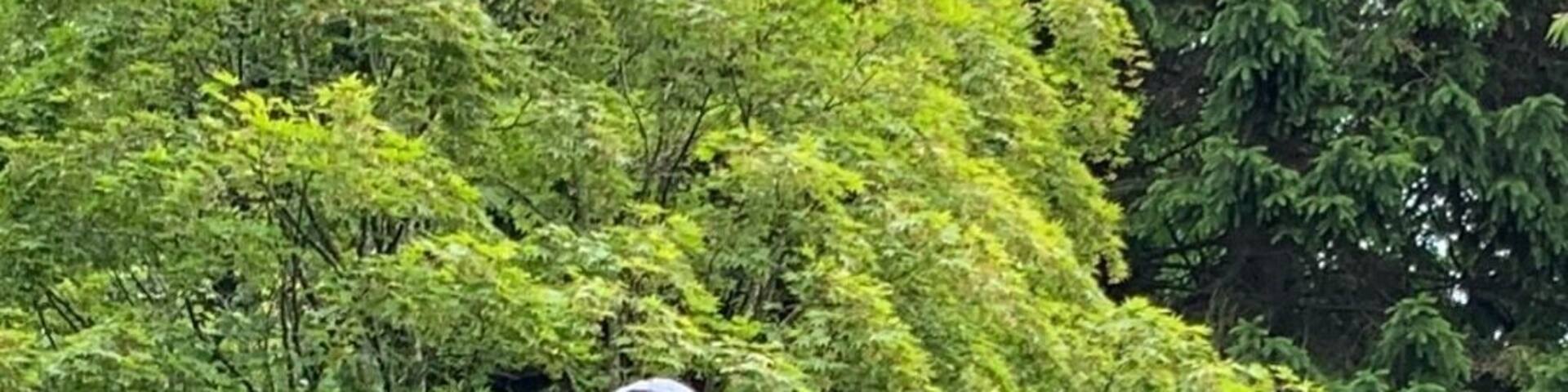 It’s well known that Glaswegians like to embellish their statues. Here is Joseph Lister, British surgeon and pioneer of antiseptic surgery, with googly eyes.