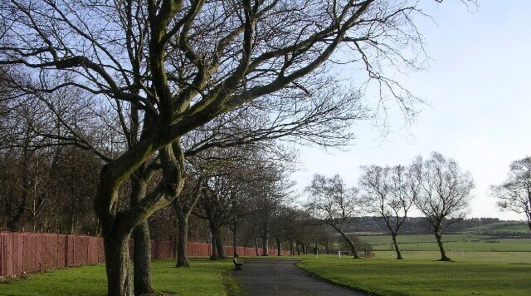 Cowan Park, Barrhead.