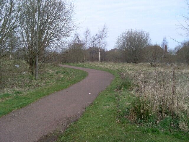 Holmhills Wood Community Park In Cambuslang.