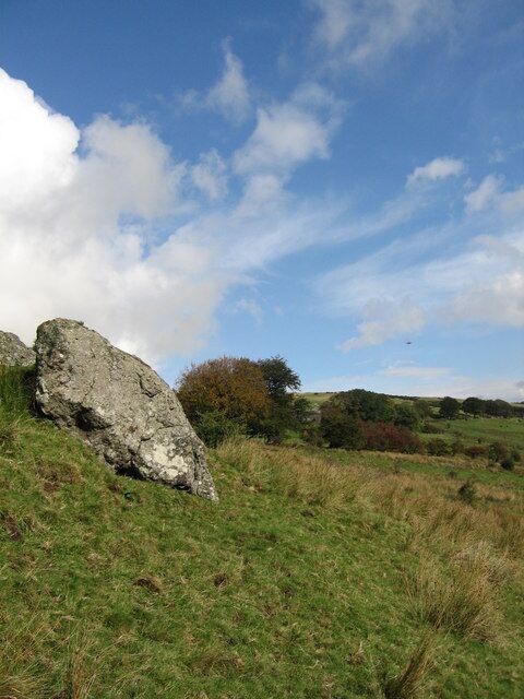 Finniebrae Between the trees you may see Banklug farm. These large rocks are the only ones in this area.
