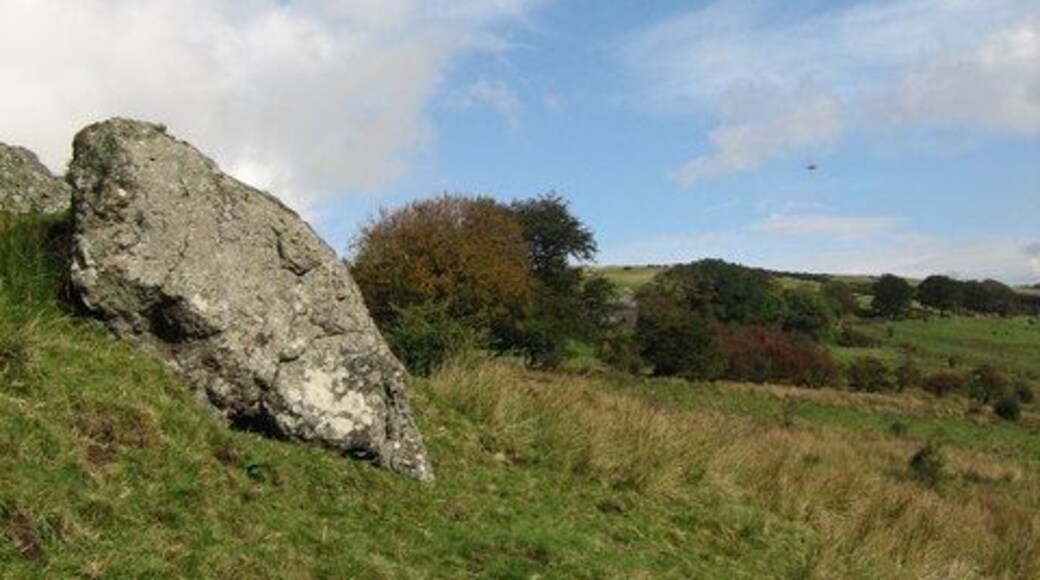 Finniebrae Between the trees you may see Banklug farm. These large rocks are the only ones in this area.
