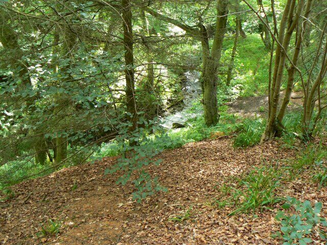 The burn in Uplawmoor Glen A small stream which has carved out quite a deep glen for itself.
