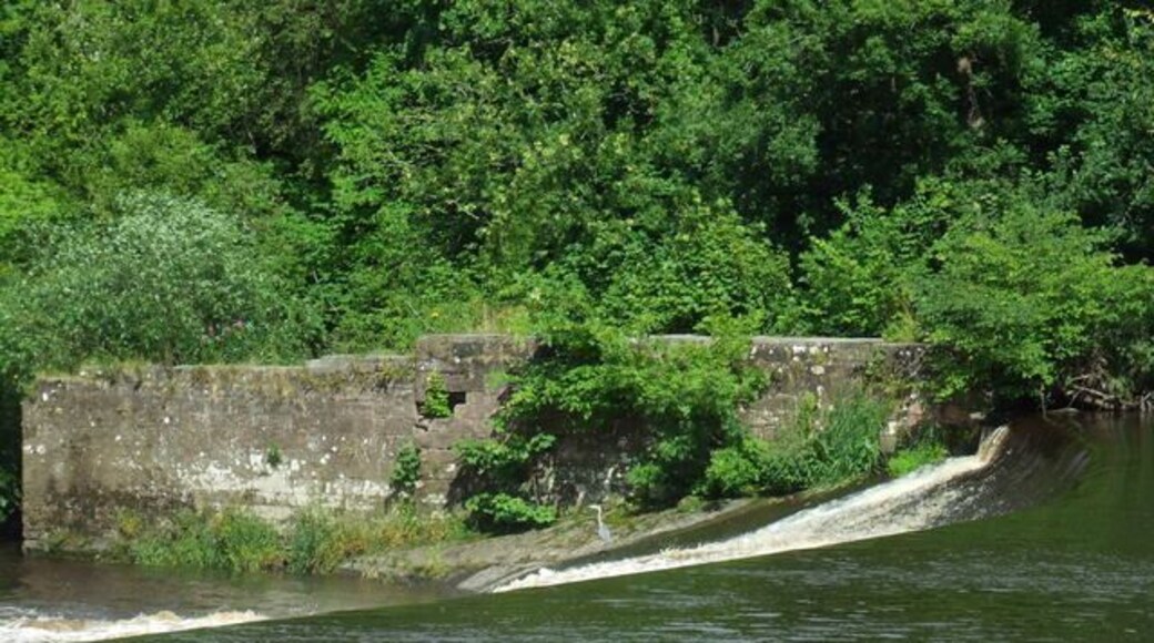 Weir on the River Clyde At Blantyre. Can you see the heron?