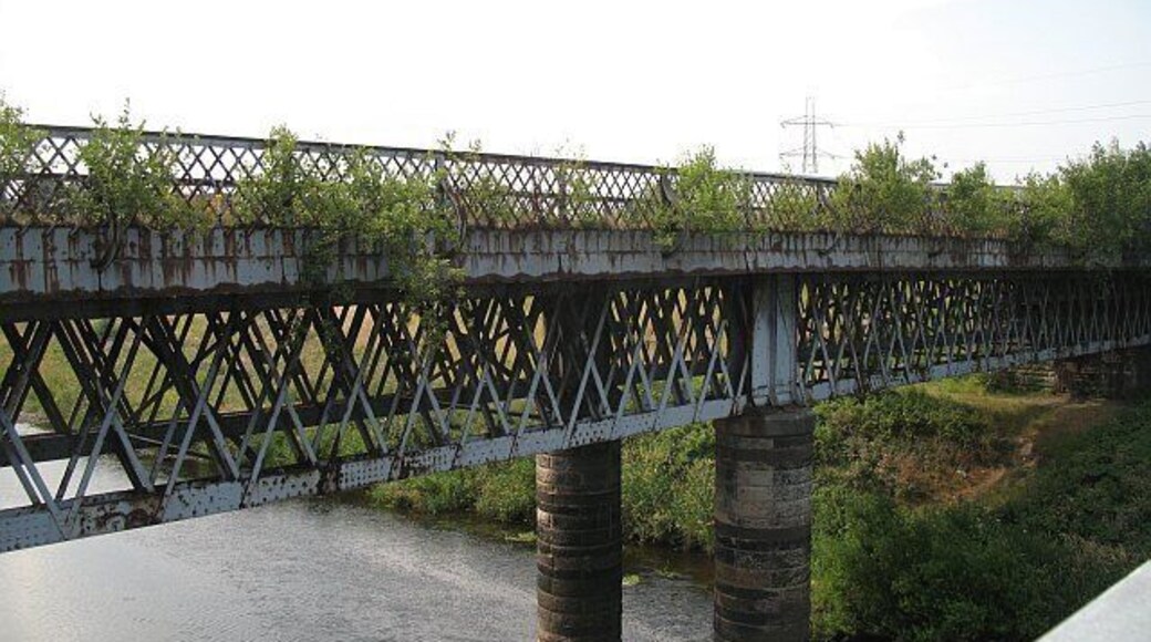 Cambuslang Bridge Disused bridge over the Clyde, now sprouting saplings. View from the bridge carrying the Clyde Walkway.