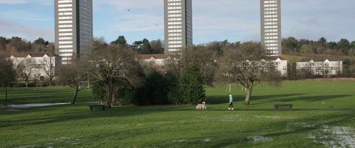 A park with three tall buildings in the background.