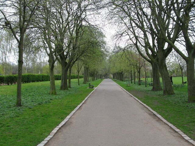 Tree-lined avenue in Victoria Park At the western end of Victoria Park.