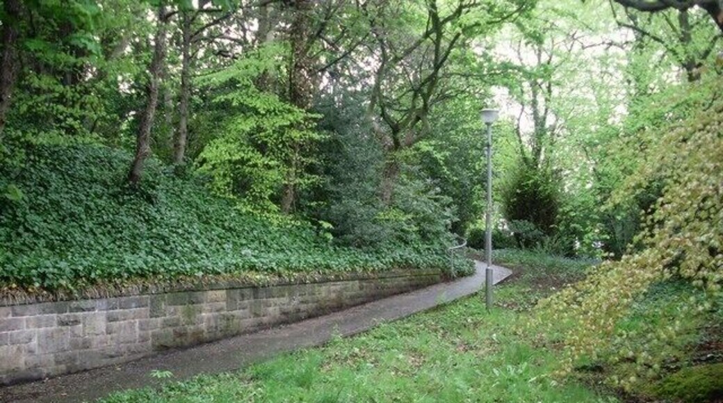 Pathway through woods near Mount Vernon Station Just off Hamilton Road.