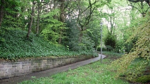 Pathway through woods near Mount Vernon Station Just off Hamilton Road.