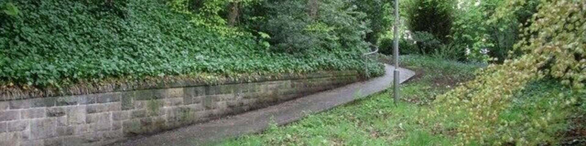 Pathway through woods near Mount Vernon Station Just off Hamilton Road.