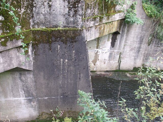 Tunnel under The A8 This tunnel allows the Luggie burn to flow underneath this busy dual carriageway. This is the best photo possible due to safety issues.