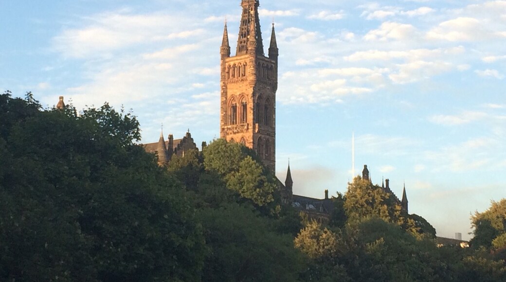 A wee bit of sun this evening !