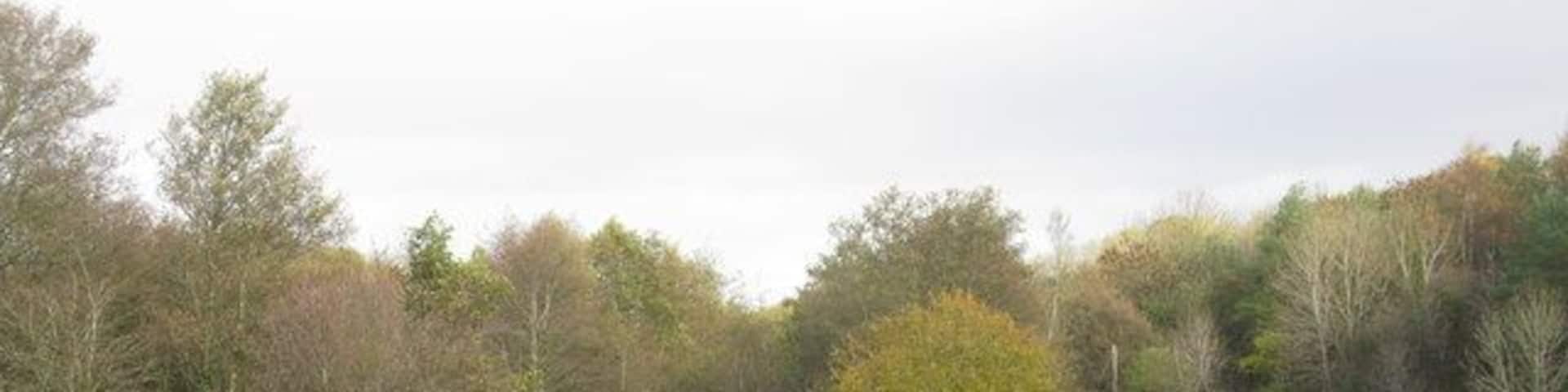 Darnley Mill Country Park