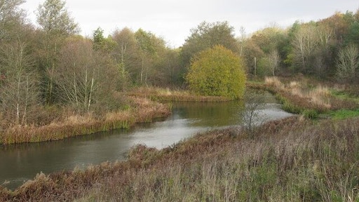 Darnley Mill Country Park