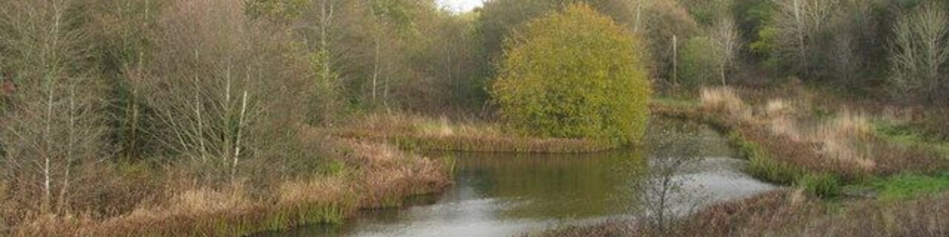 Darnley Mill Country Park