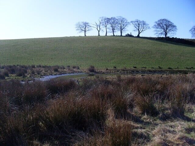 Muddy stream at foot of hill In quite a marshy area.