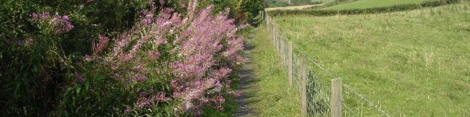 Footpath along boundary of Bearsden. A footpath through common ground along the northern boundary of Bearsden.