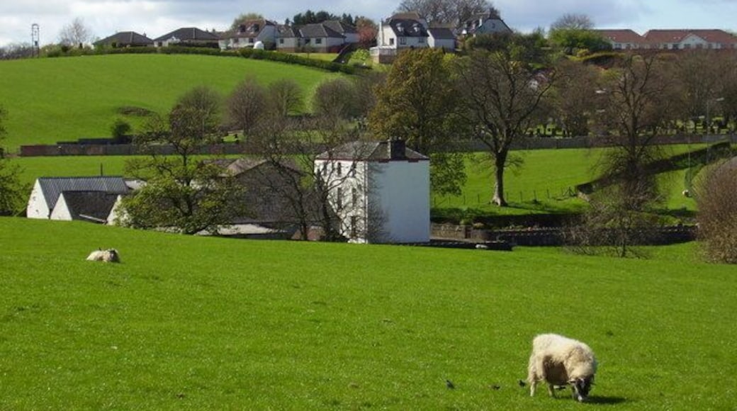Burnhouse Farm and Mearns cemetery Background houses on Whitehill Grove and Old Humbie Road.