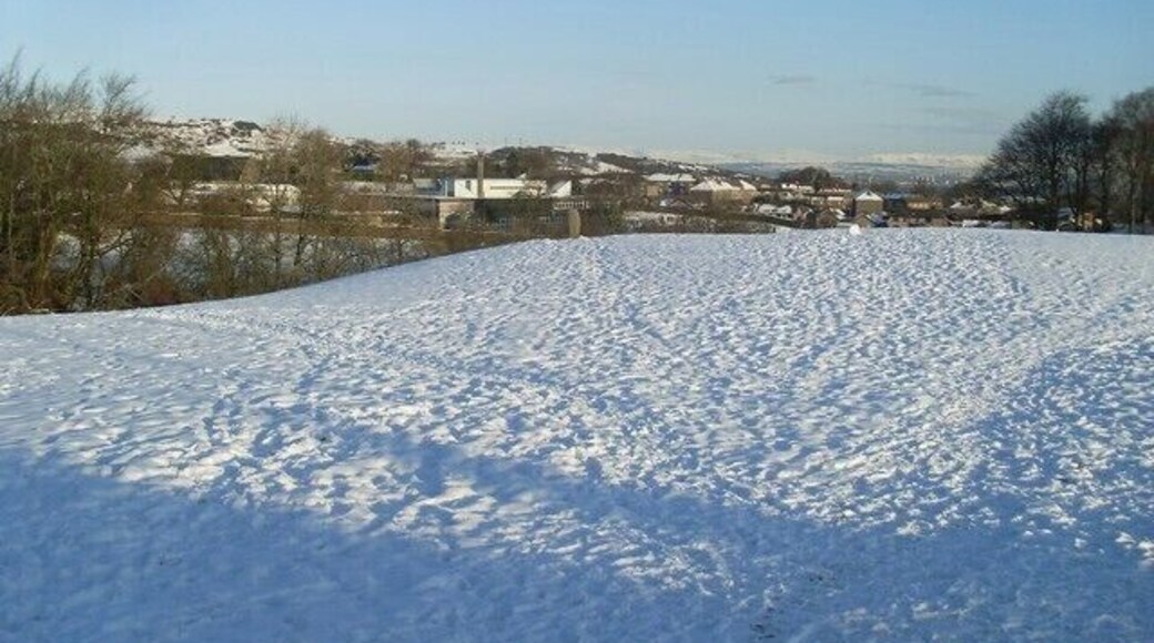 Standing stone in field east of Neilston Seen from Kirkton Road.