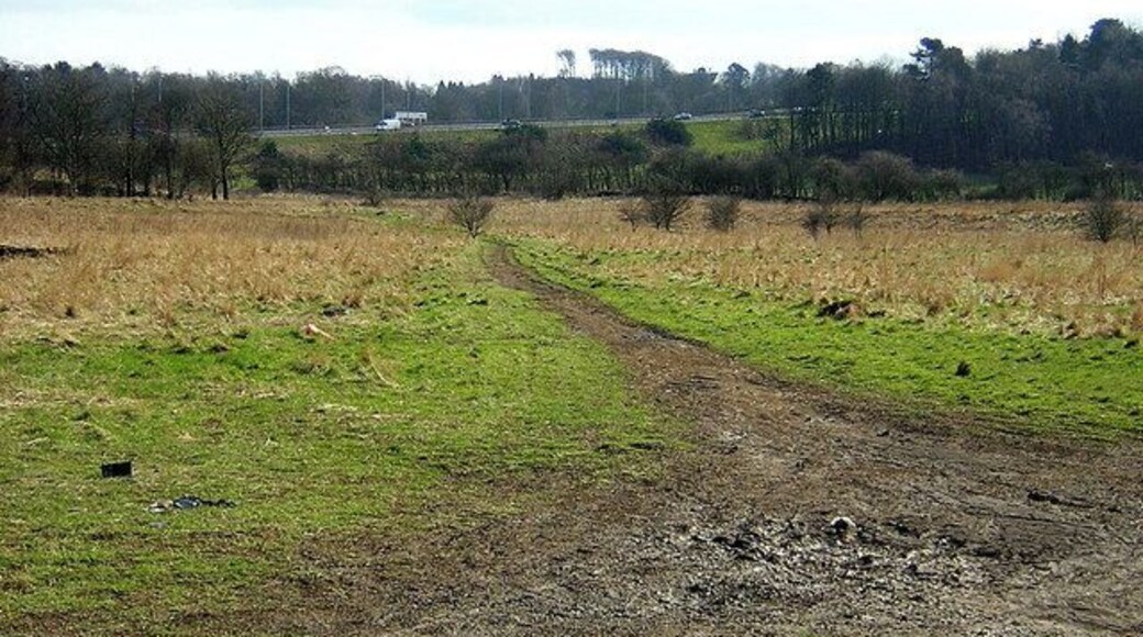Muddy Track, Darnley. Muddy track on ground between DIY store and M77.