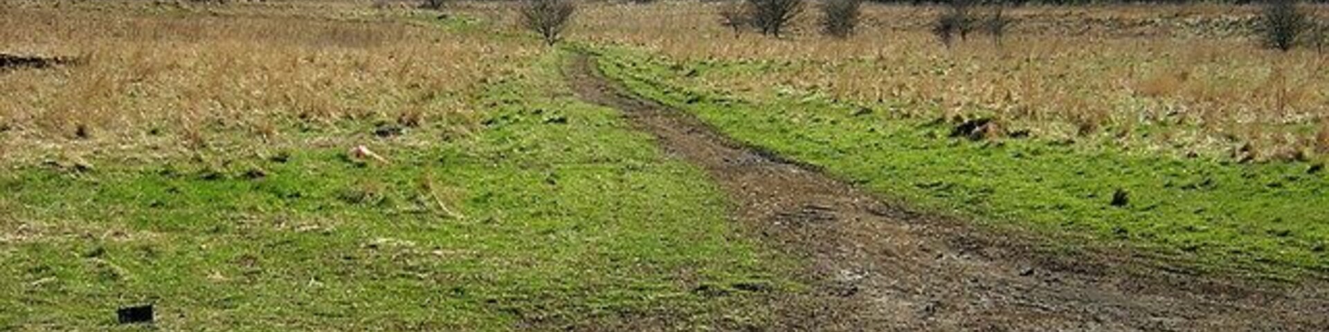 Muddy Track, Darnley. Muddy track on ground between DIY store and M77.
