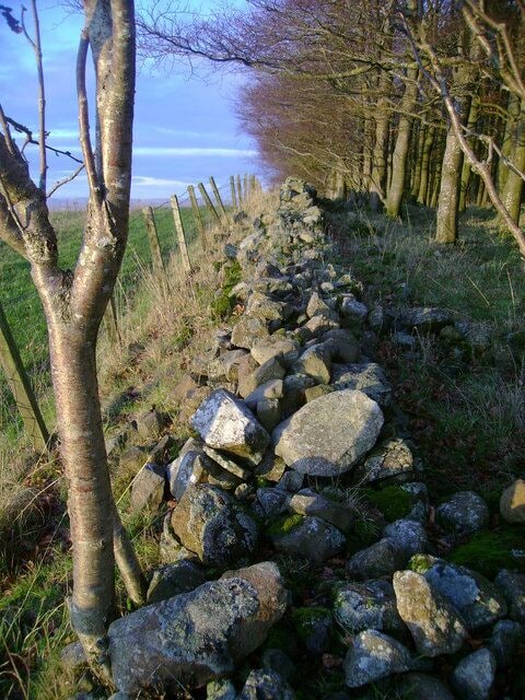 Dry stone wall superseded by fence This dry stone wall has been superseded by the fence to its left, a common phenomenon in these parts.