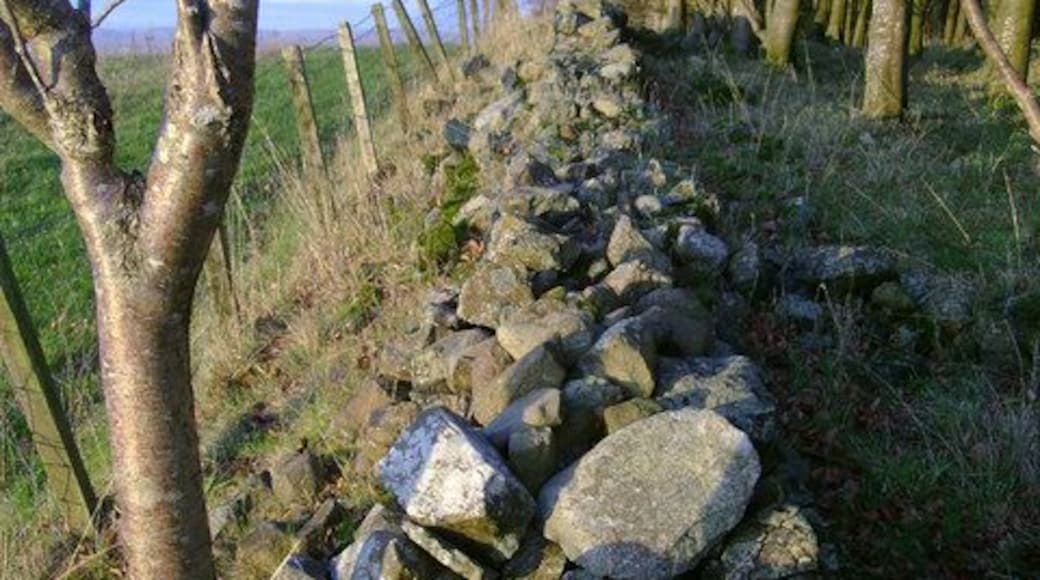 Dry stone wall superseded by fence This dry stone wall has been superseded by the fence to its left, a common phenomenon in these parts.