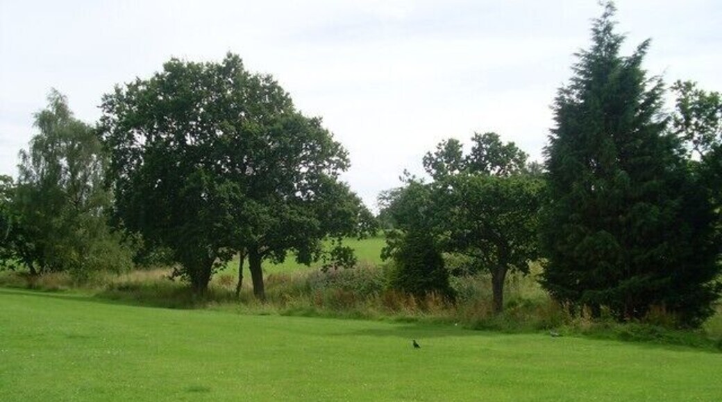 Trees surrounding Broom Burn Seen from Dunure Place.