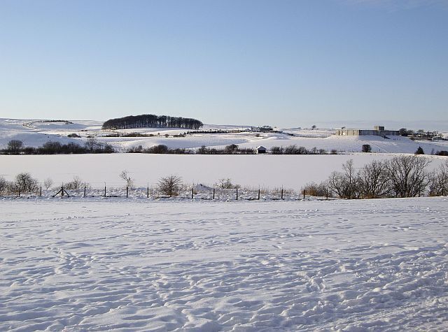 Picketlaw Reservoir in Winter A blanket of snow has covered the frozen water of Picketlaw Reservoir.