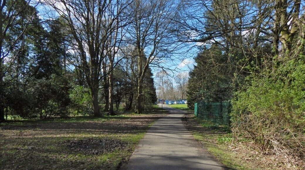 Rosshall Park. Not far ahead is a footpath junction. From there, the path straight ahead leads to the park entrance from Crookston Road, while to the left is the river walk, and to the right is a path to Rosshall Gardens.