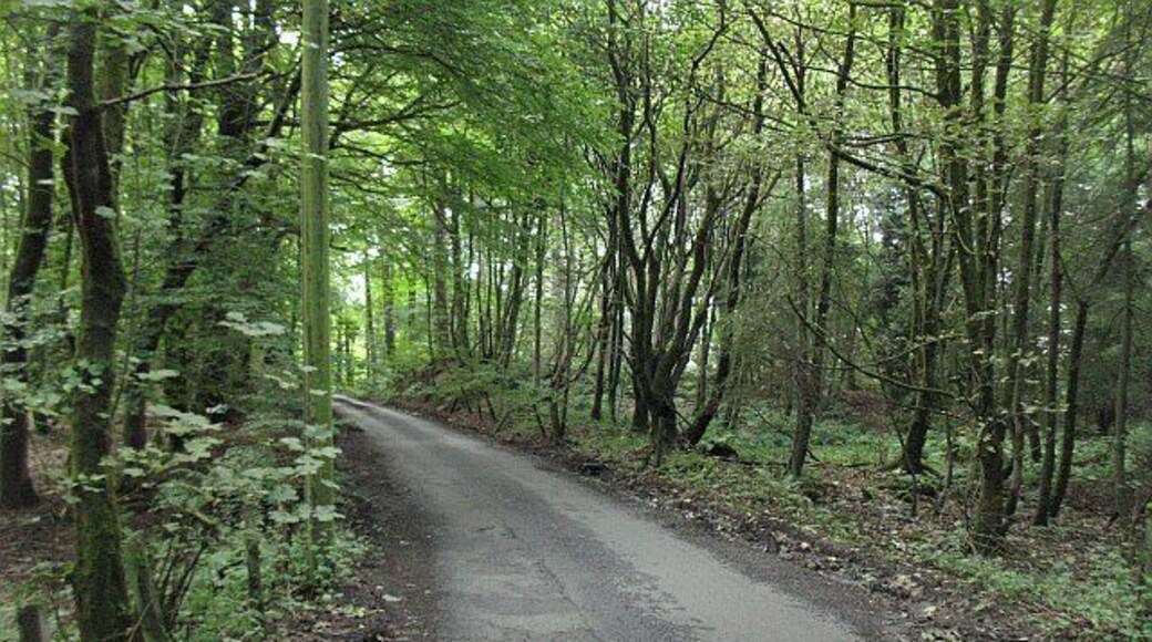 Walton Road Narrow road which runs under the Castlecary viaduct and up through woods. The A80 can still be heard to the west.