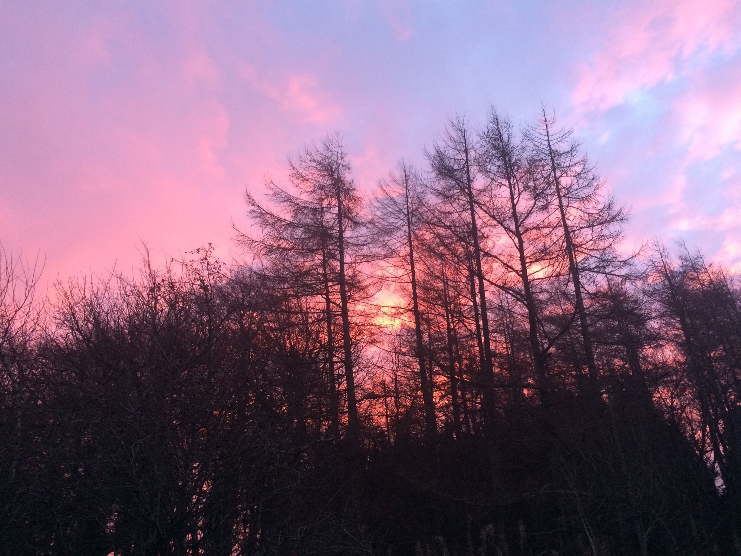 Sunrise over Calderglen